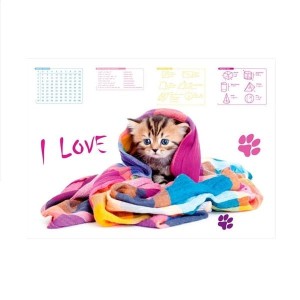 Podkład na biurko PANTA PLAST ze zdjęciem kotek 1szt.  /0318-0048-74/