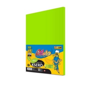 Papier ksero kolor A4/80 Pastello zielony neon