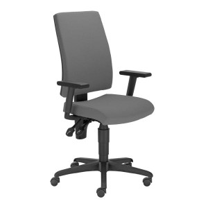 Krzesło obrotowe Nowy Styl Metron/Ergon oban ciemnoszary /I-LINE TS25 R19T ERGON-2L EF002 SH [S]/ /Towar pod zamówienie - termin do ustalenia/