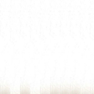 Okładka do bindowania A4 skóropodobna ARGO DELTA biała 100szt. /407011/