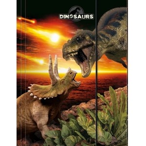 Teczka z gumką A4 DERFORM dinozaur 18 1szt. /TGA4DN18/