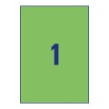 ZW3472(2).jpg