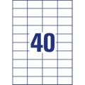 ZW020(2).jpg