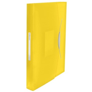 Teczka z 6 przegródkami ESSELTE Vivida żółta /624020/