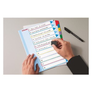 Przekładki A4 maxi kartonowe 1-31 numeryczne białe z kolorowymi indeksami MYLAR ESSELTE /100210/