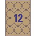 ZW567(2).jpg