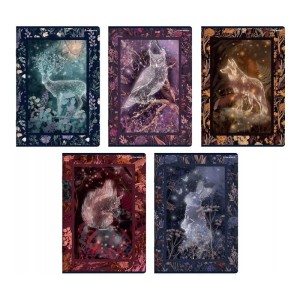Zeszyt A5/60 kratka 70g z marginesem posiada adresówkę okładka SOFT TOUCH TOP 2000 FAIRYTALE mix wzorów 1szt. /400182429/