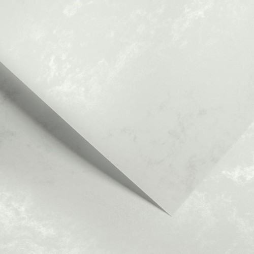 AR868(1).jpg