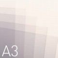 AR729(2).jpg