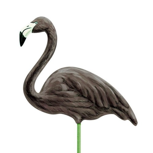 PD367-FLAMINGI(1).jpg