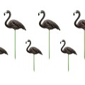 PD367-FLAMINGI.jpg