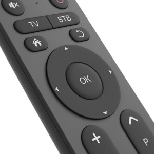 PILOT UNIWERSALNY DO TV 2W1 DUŻE PRZYCISKI   /002210560000/