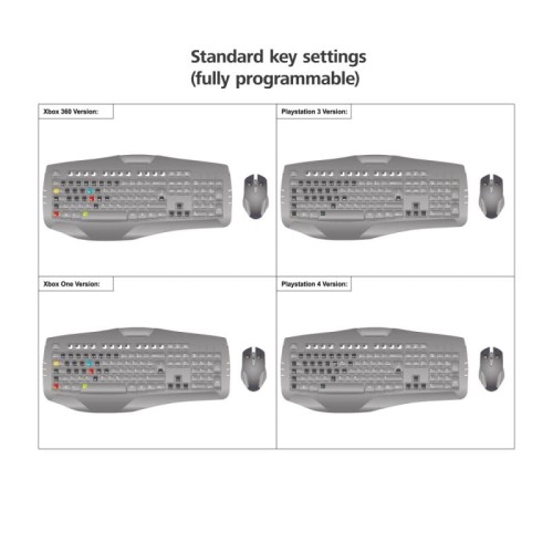 HAM000544780000(10).jpg