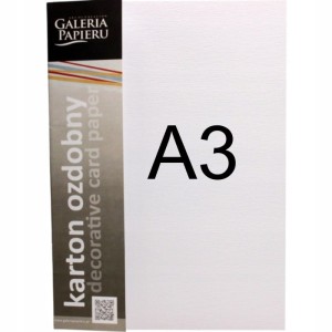 Papier ozdobny A3/250g płótno biały ARGO 50szt. /207031/