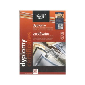Papier ozdobny A4/190g na dyplomy SILVER 20szt. /210719/