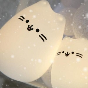 LAMPKA KITTY MIDI  /001711510000/