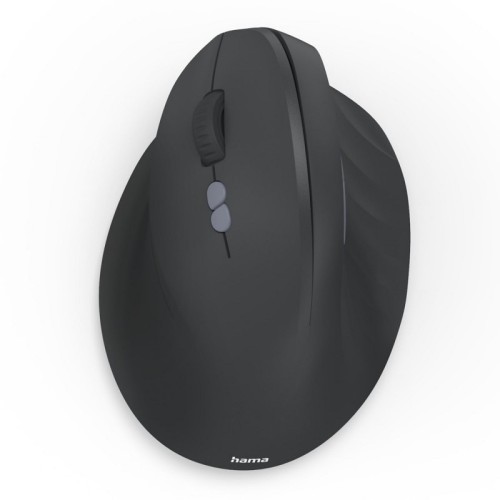 HAM001730890000(1).jpg