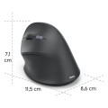 HAM001730890000(3).jpg