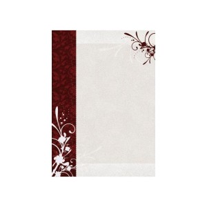 Papier ozdobny BARWNE ARKUSZE na dyplomy Finezja 170g /Dyplom Finezja /211817/