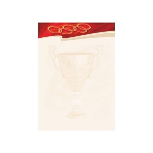 Papier ozdobny ARGO ""SPORT"" 170g /212317/