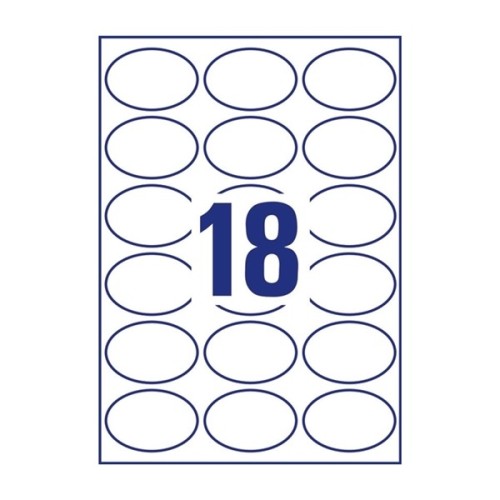 ZW283(2).jpg
