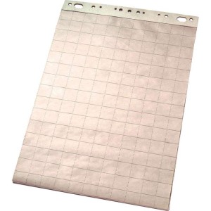 Blok flipchart 55x71cm 60g kratka 50 kartek ESSELTE 1szt. /96550/