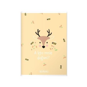 Zeszyt Herlitz Pastel Cute A5 w kratkę 16 kartkowy mix