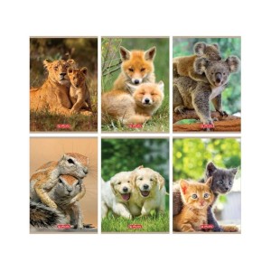 Zeszyt Herlitz Animals A5 w linię podwójną 32 kartkowy mix