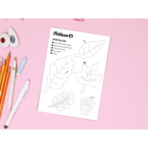 PEL013(1).jpg