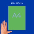 ZW3472(3).jpg