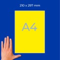 ZW257(3).jpg