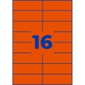 ZW455(4).jpg