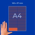 ZW455(3).jpg
