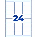 ZW244(4).jpg