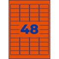 ZW453(4).jpg