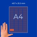 ZW453(3).jpg