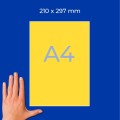ZW010(3).jpg