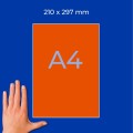 ZW3470(3).jpg