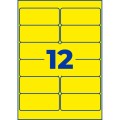ZW258(4).jpg