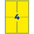ZW263(4).jpg
