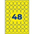 ZW262(4).jpg
