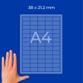ZW466(3).jpg