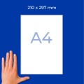 ZW496(3).jpg