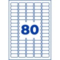 ZW600(4).jpg