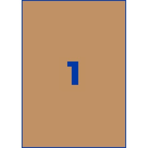 ZW715(4).jpg