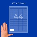 ZW256(3).jpg
