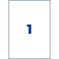 ZW250(4).jpg