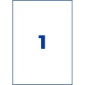 ZW1044(4).jpg
