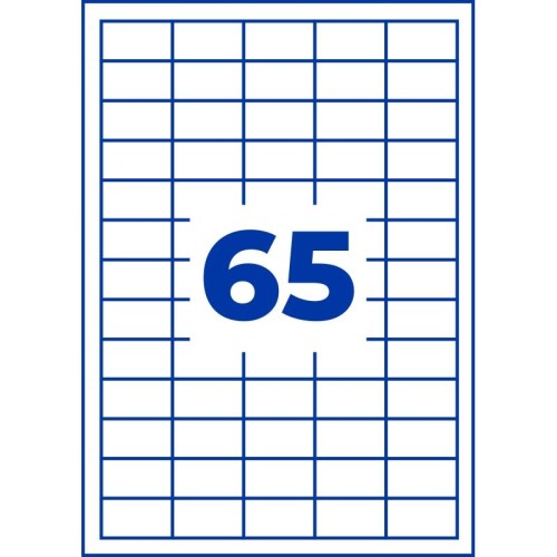 ZW1091(4).jpg